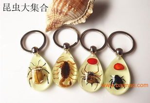 水晶 工藝 禮品廠,浙江 昆蟲 標(biāo)本 飾品 鑰匙扣批發(fā)